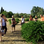 Tanto di Cappero 2012