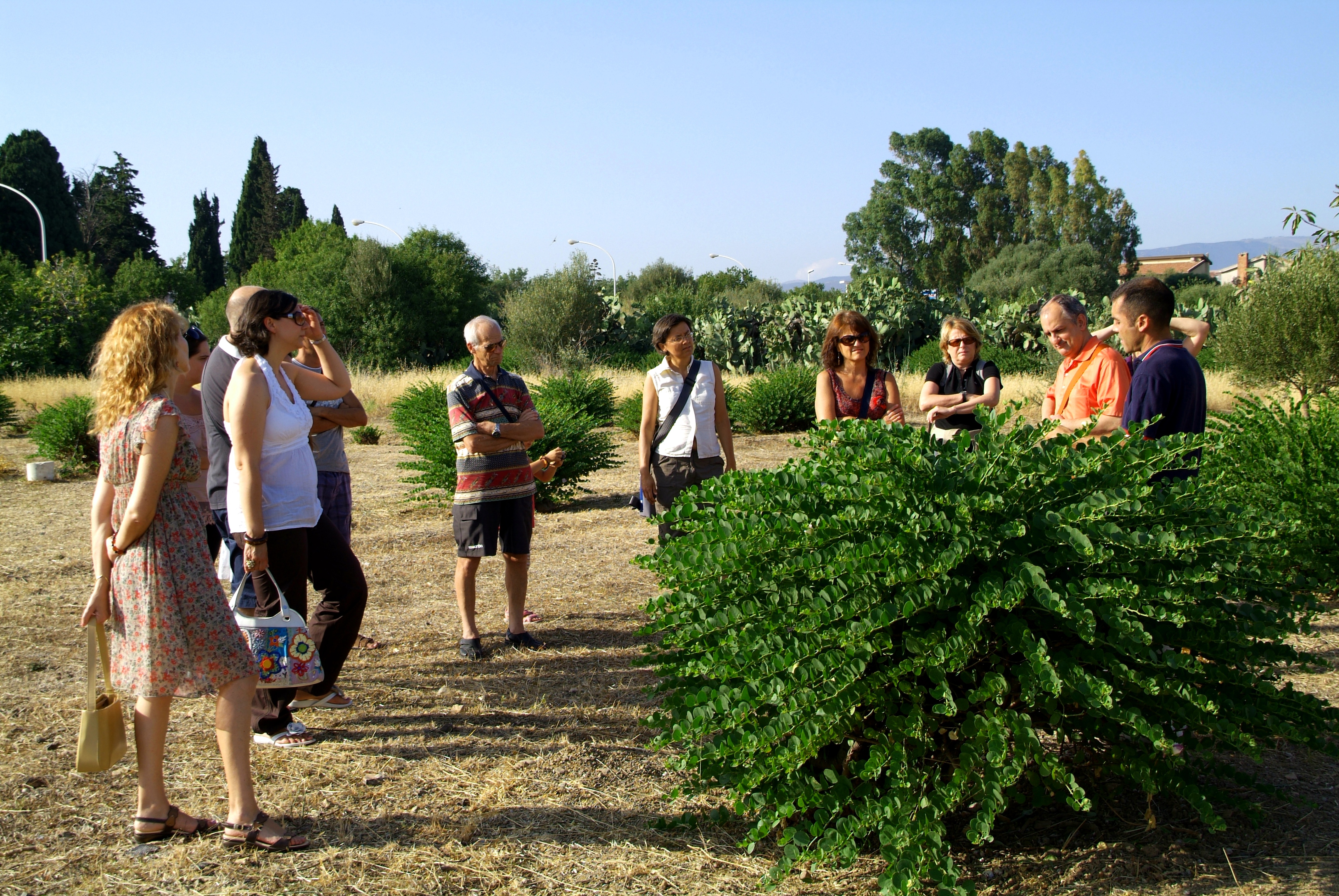 Tanto di Cappero 2012