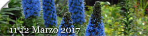 primavera in giardino 11-12 marzo 2017 Milis
