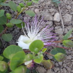 20170520_162624