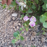 20170520_171526