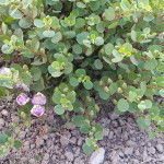 20170520_171538